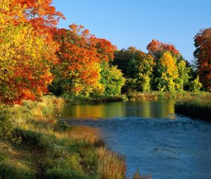 Превью обои онтарио, канада, деревья, река, берега, осень, течение