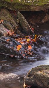 Превью обои опавшие листья, вода, река, камни, природа