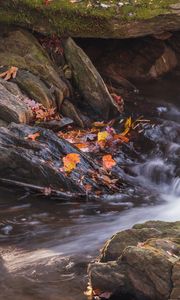 Превью обои опавшие листья, вода, река, камни, природа