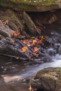 Превью обои опавшие листья, вода, река, камни, природа