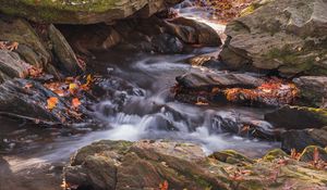 Превью обои опавшие листья, вода, река, камни, природа