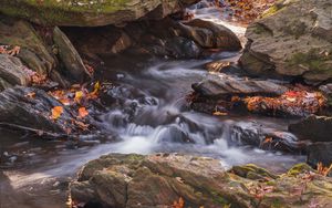 Превью обои опавшие листья, вода, река, камни, природа