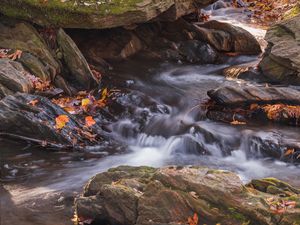 Превью обои опавшие листья, вода, река, камни, природа