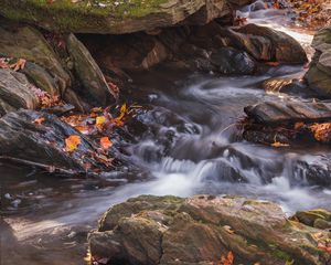 Превью обои опавшие листья, вода, река, камни, природа