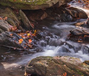 Превью обои опавшие листья, вода, река, камни, природа