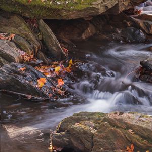Превью обои опавшие листья, вода, река, камни, природа