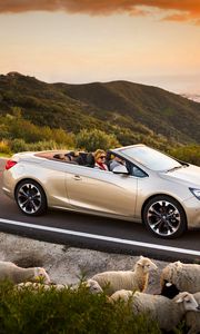 Превью обои opel cascada, авто, бараны, дорога, закат