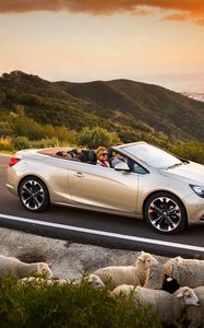 Превью обои opel cascada, авто, бараны, дорога, закат