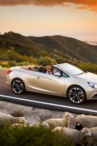 Превью обои opel cascada, авто, бараны, дорога, закат