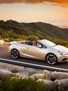 Превью обои opel cascada, авто, бараны, дорога, закат