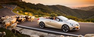 Превью обои opel cascada, авто, бараны, дорога, закат