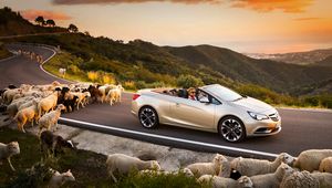 Превью обои opel cascada, авто, бараны, дорога, закат