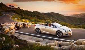 Превью обои opel cascada, авто, бараны, дорога, закат