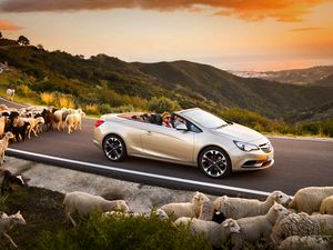 Превью обои opel cascada, авто, бараны, дорога, закат