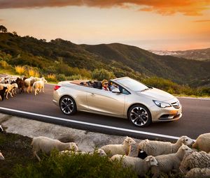 Превью обои opel cascada, авто, бараны, дорога, закат