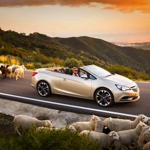 Превью обои opel cascada, авто, бараны, дорога, закат