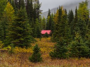 Превью обои опушка, лес, деревья, домик, природа