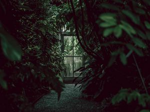 Превью обои оранжерея, дверь, растения, зеленый, темный