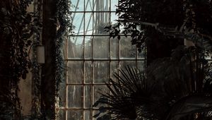 Превью обои оранжерея, окно, темный, растения, помещение
