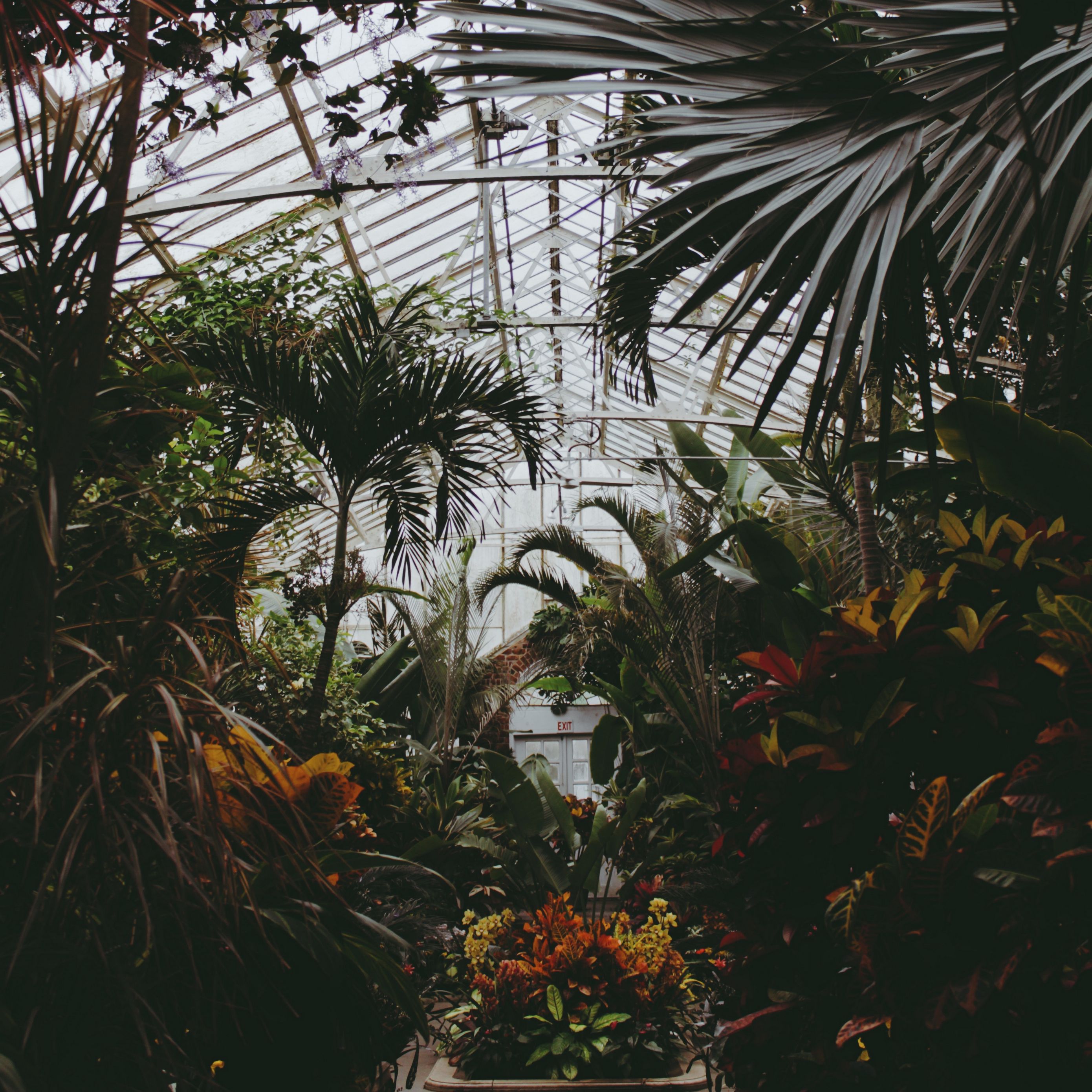 Оранжерея Уфа Ботанический сад