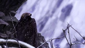 Превью обои орел, птица, арт, снег, скала