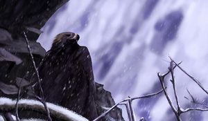Превью обои орел, птица, арт, снег, скала