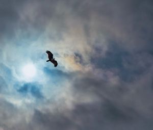 Превью обои орел, птица, крылья, полет, облака, небо