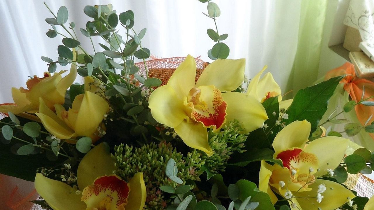 Обои орхидеи, цветы, гипсофил, букет, оформление