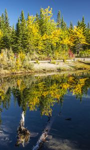 Превью обои осень, деревья, озеро, вода, отражение