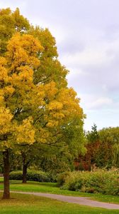 Превью обои осень, деревья, парк, аллея, дорожка, октябрь, небо, хмурое