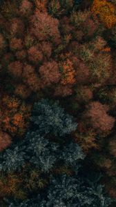 Превью обои осень, деревья, вид сверху, лес, осенние краски, растительность