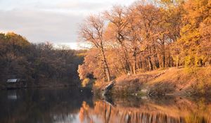 Превью обои осень, деревья, водоем