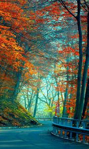 Превью обои осень, дорога, листья, деревья