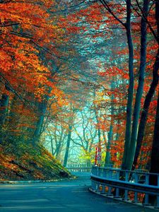 Превью обои осень, дорога, листья, деревья