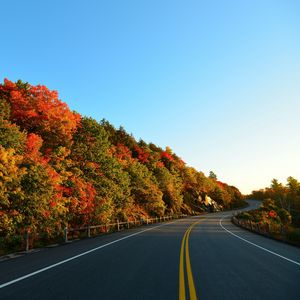 Превью обои осень, дорога, поворот, деревья, разметки