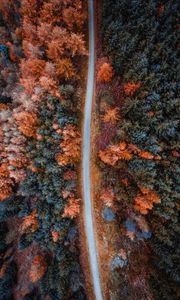 Превью обои осень, дорога, вид сверху, деревья, лес