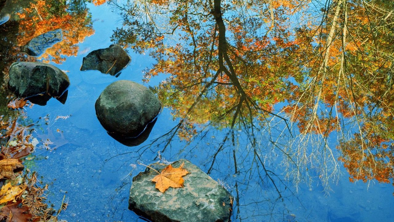 Обои осень, камень, листья, цвета, отражение, зеркало