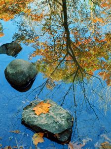 Превью обои осень, камень, листья, цвета, отражение, зеркало
