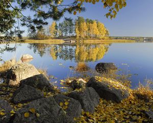 Превью обои осень, камни, деревья, листья, березы, озеро, островок, берега