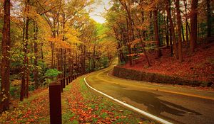 Превью обои осень, лес, дорога, поворот
