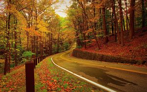 Превью обои осень, лес, дорога, поворот
