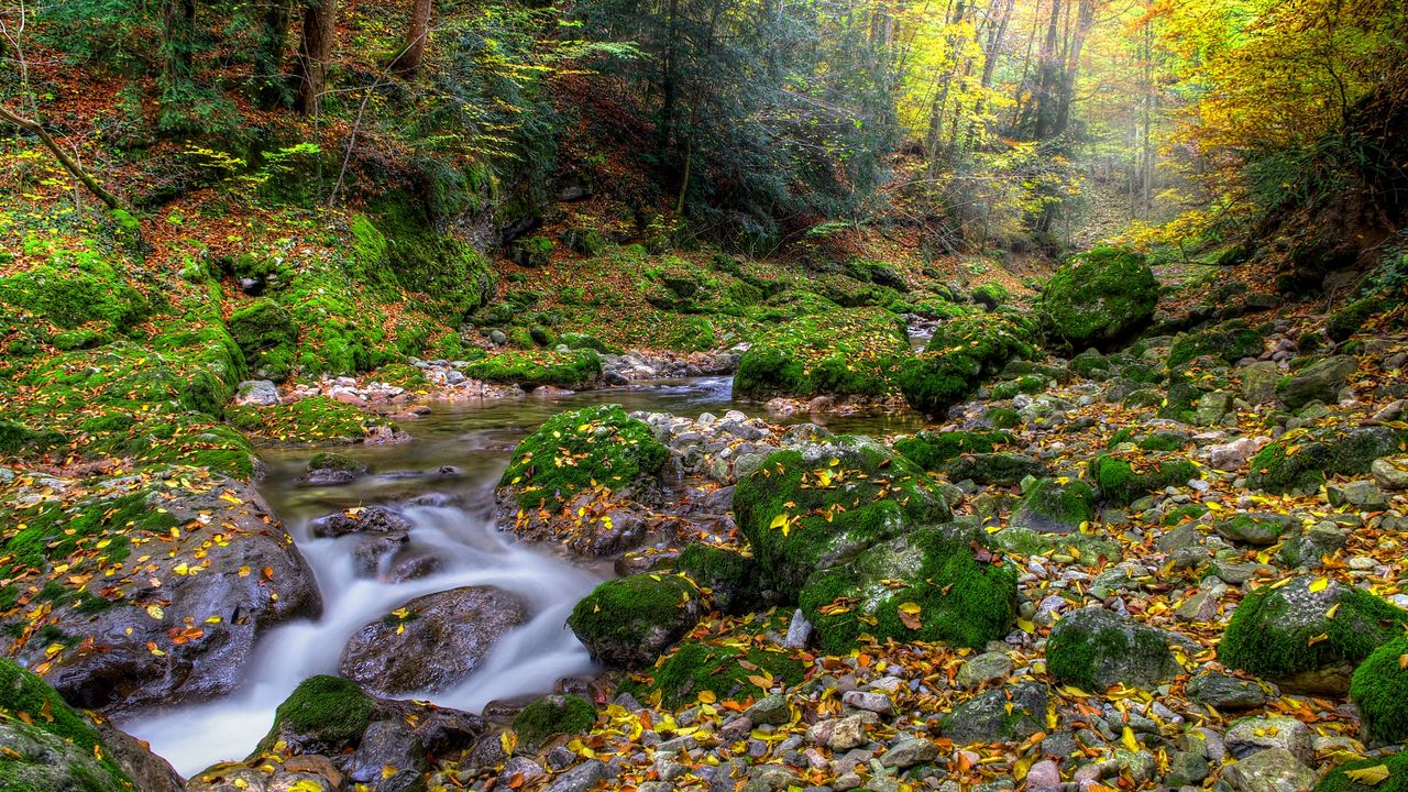 Обои осень, лес, речка, камни, пейзаж