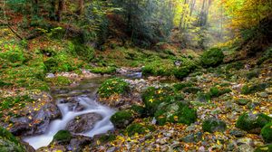 Превью обои осень, лес, речка, камни, пейзаж