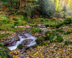 Превью обои осень, лес, речка, камни, пейзаж