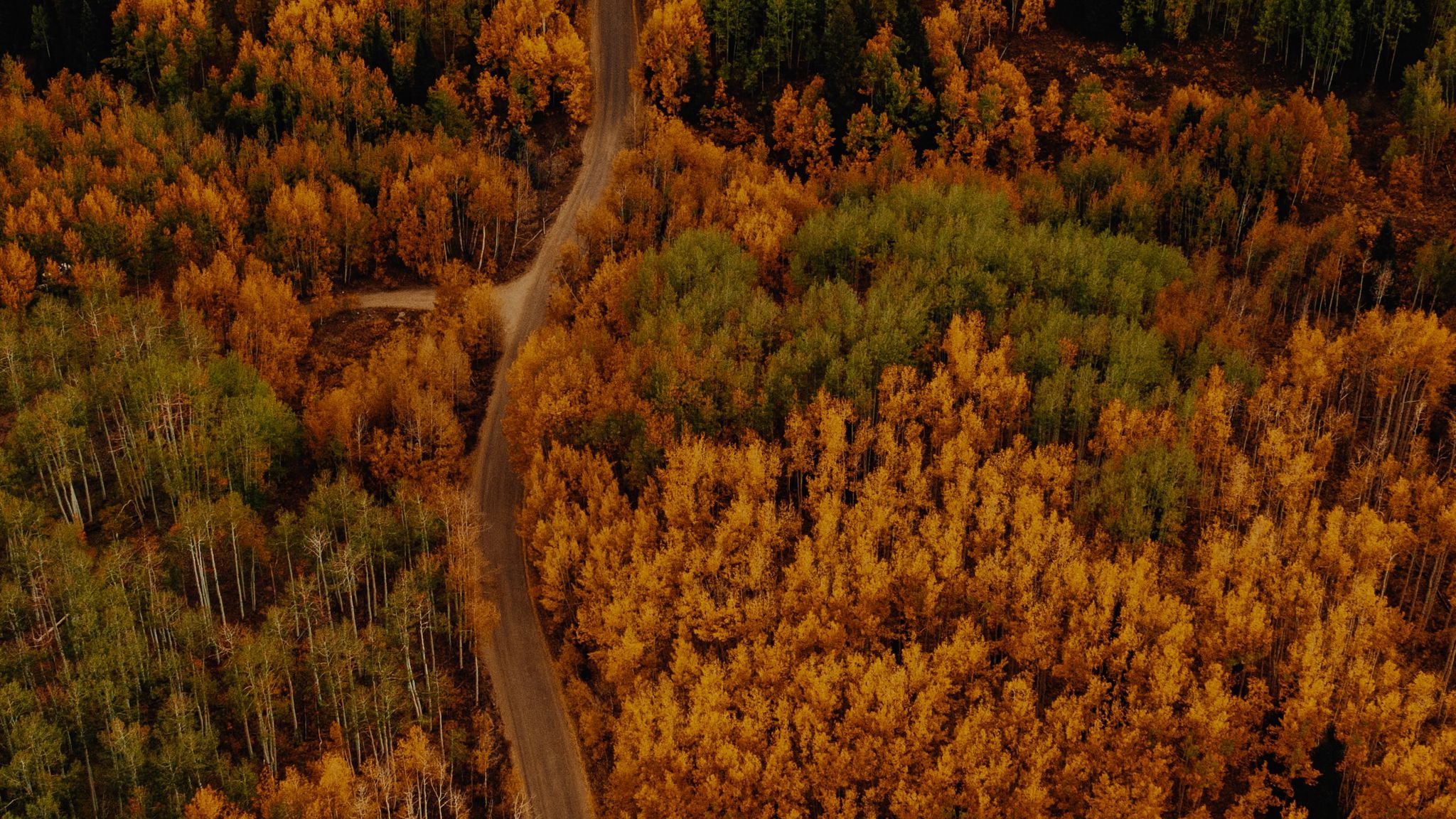 Осенний лес с вертолета