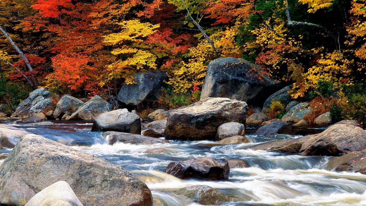 Обои осень, листья, деревни, камни, вода, поток, течение, журчание