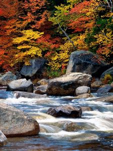 Превью обои осень, листья, деревни, камни, вода, поток, течение, журчание