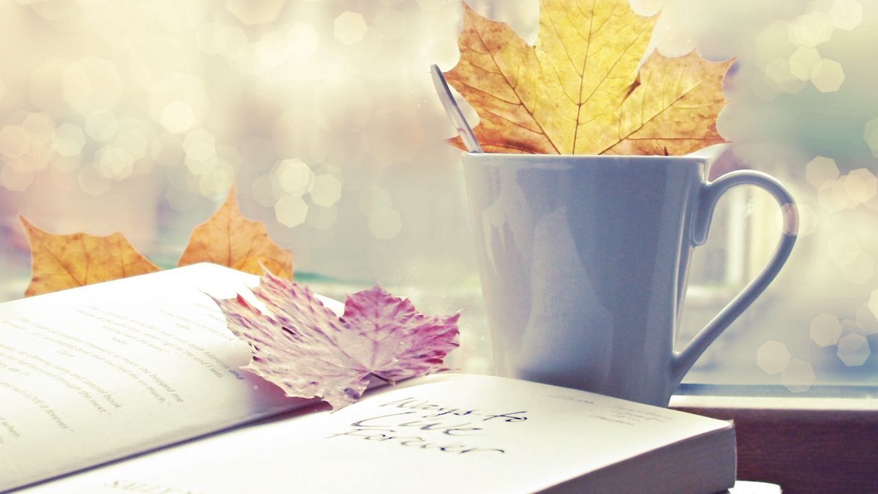Обои осень, листья, книга, настроение
