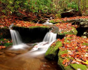 Превью обои осень, листья, мох, камни, вода, лес, река, исток