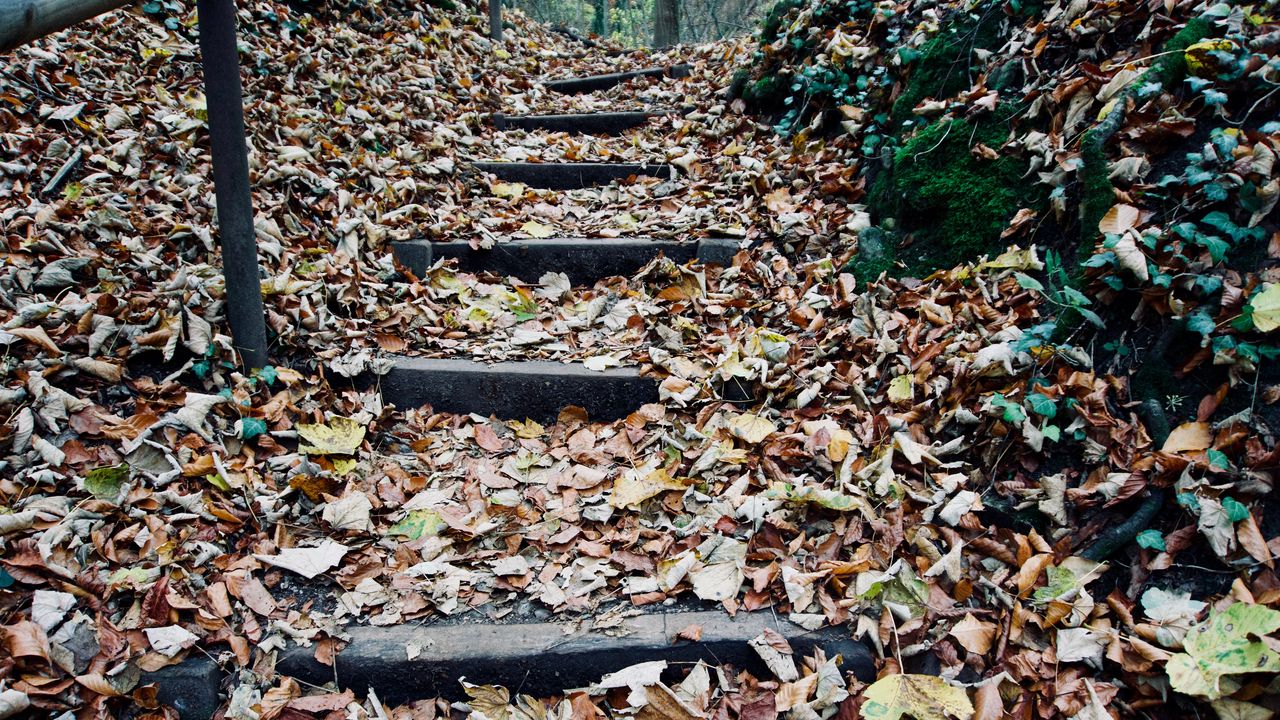Обои осень, листва, лестница